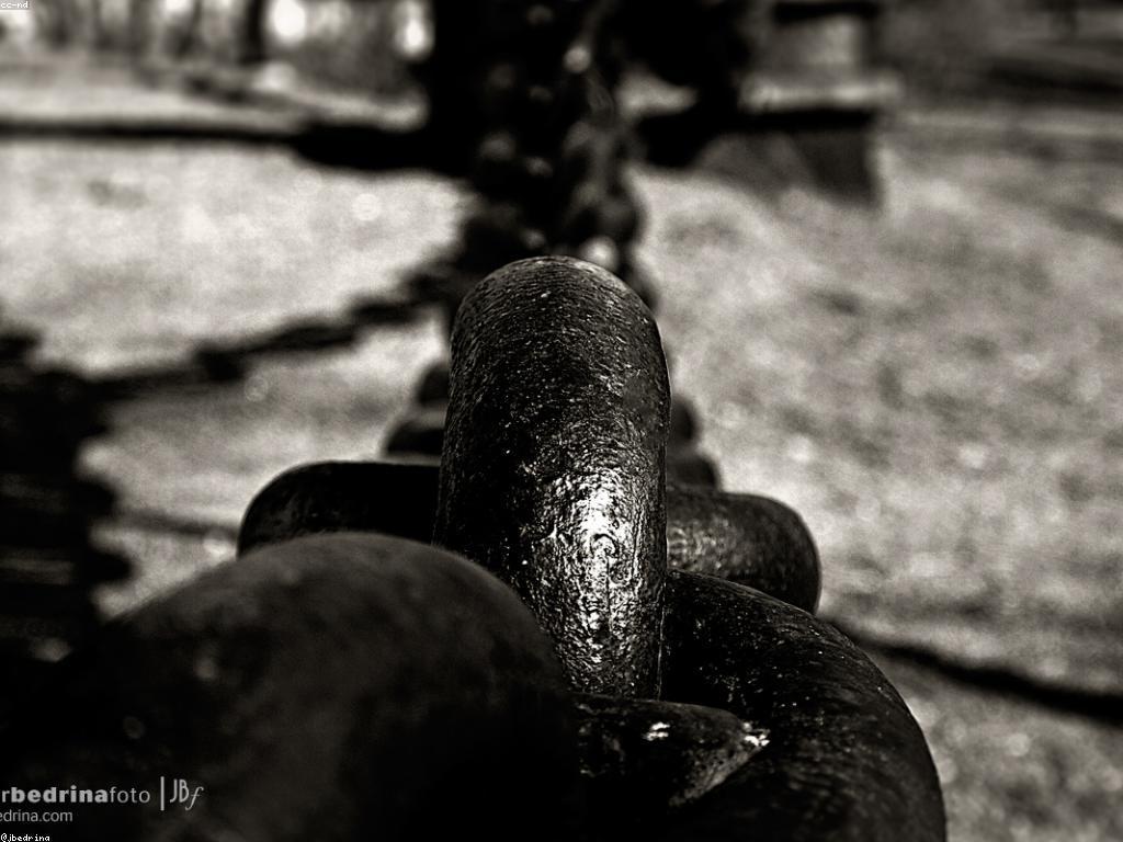 ការផ្តល់ជូនមានប្រសិទ្ធភាពនៅក្នុងការប្រកួត